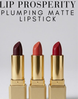 Nubyén Lip Prosperity Plumping Matte Lipstick – A luxurious matte lipstick that plumps, hydrates, and enhances lip volume naturally. Infused with nourishing ingredients like hyaluronic acid and cinnamon, it delivers bold, long-lasting color while keeping lips smooth and moisturized. 100% vegan, cruelty-free, and free from parabens and sulfates, this lipstick is perfect for fuller, healthier-looking lips. Created by medical professionals, it combines beauty and science for confident, radiant results